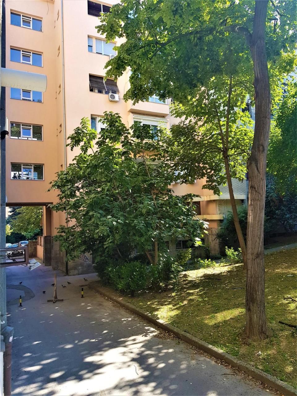 Asya Blue Apartment Beograd Bagian luar foto